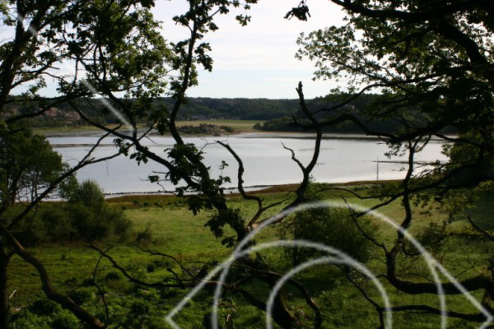 Strandängar