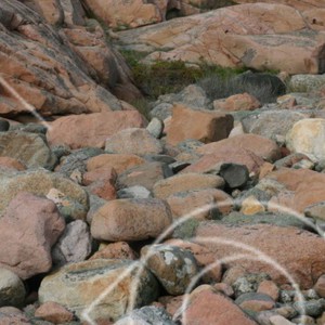 Lyse-halvön