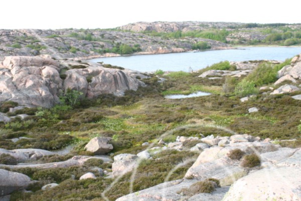 Öar på västkusten