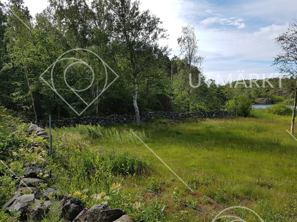 Inhägnad betesmark