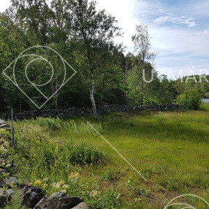Inhägnad betesmark