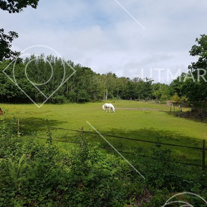 Hästhage vid Sälvik