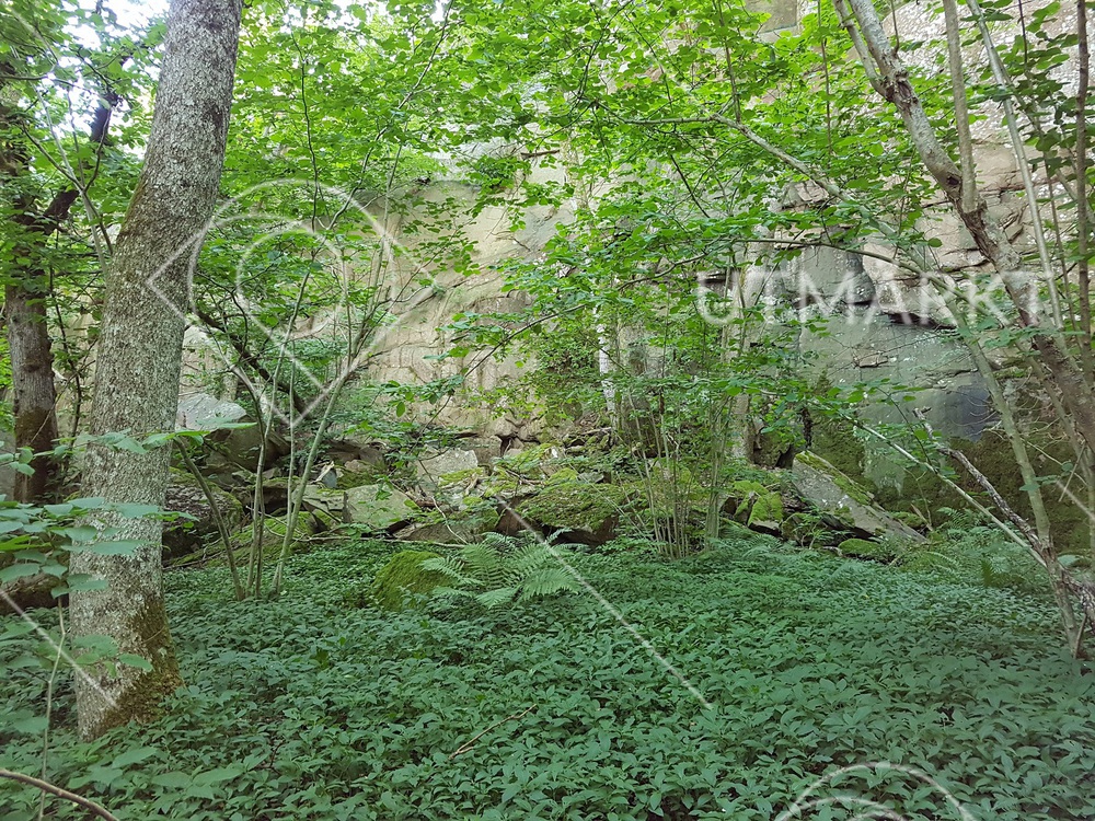 Berg- och rasbranter