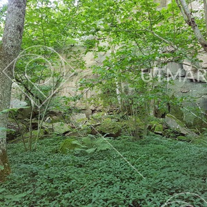 Berg- och rasbranter