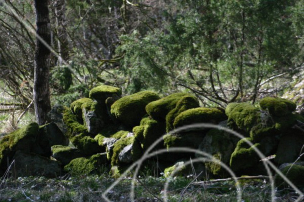 Stengärdesgård