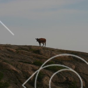 Naturbete på Gåsö